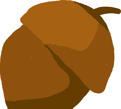 Acorn
